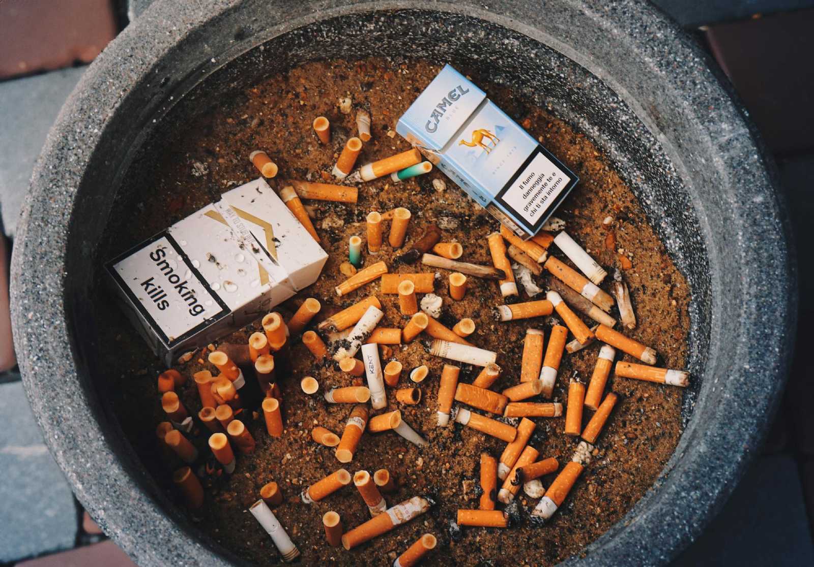 The Hidden Economy of Illicit Cigarettes