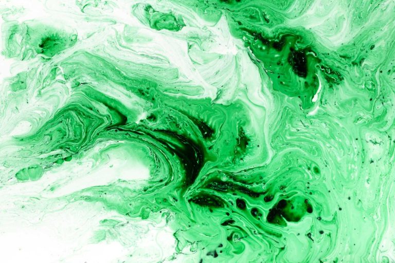 Greenwashing vs. True Sustainability: What Smart Businesses Need to Know