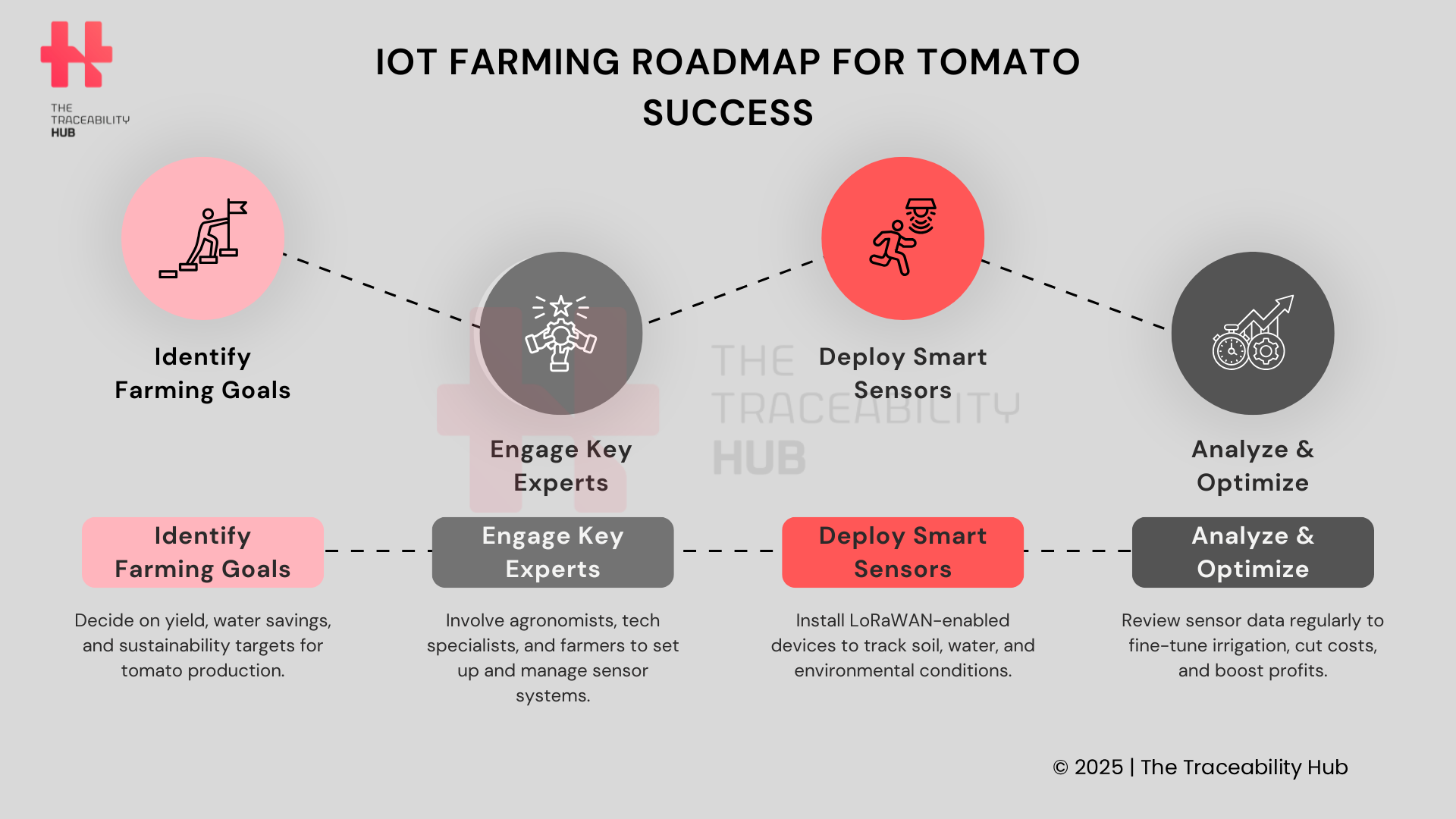 IoT Farming Roadmap for Tomato Success