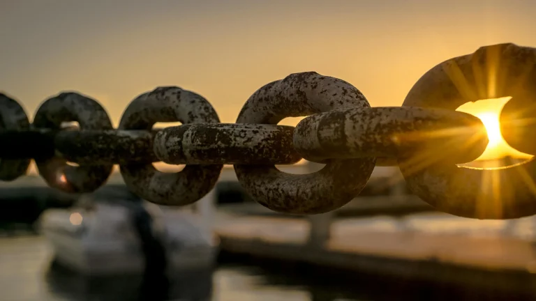 Future-Proofing Supply Chains: The Technology Framework for 2025 and Beyond 
