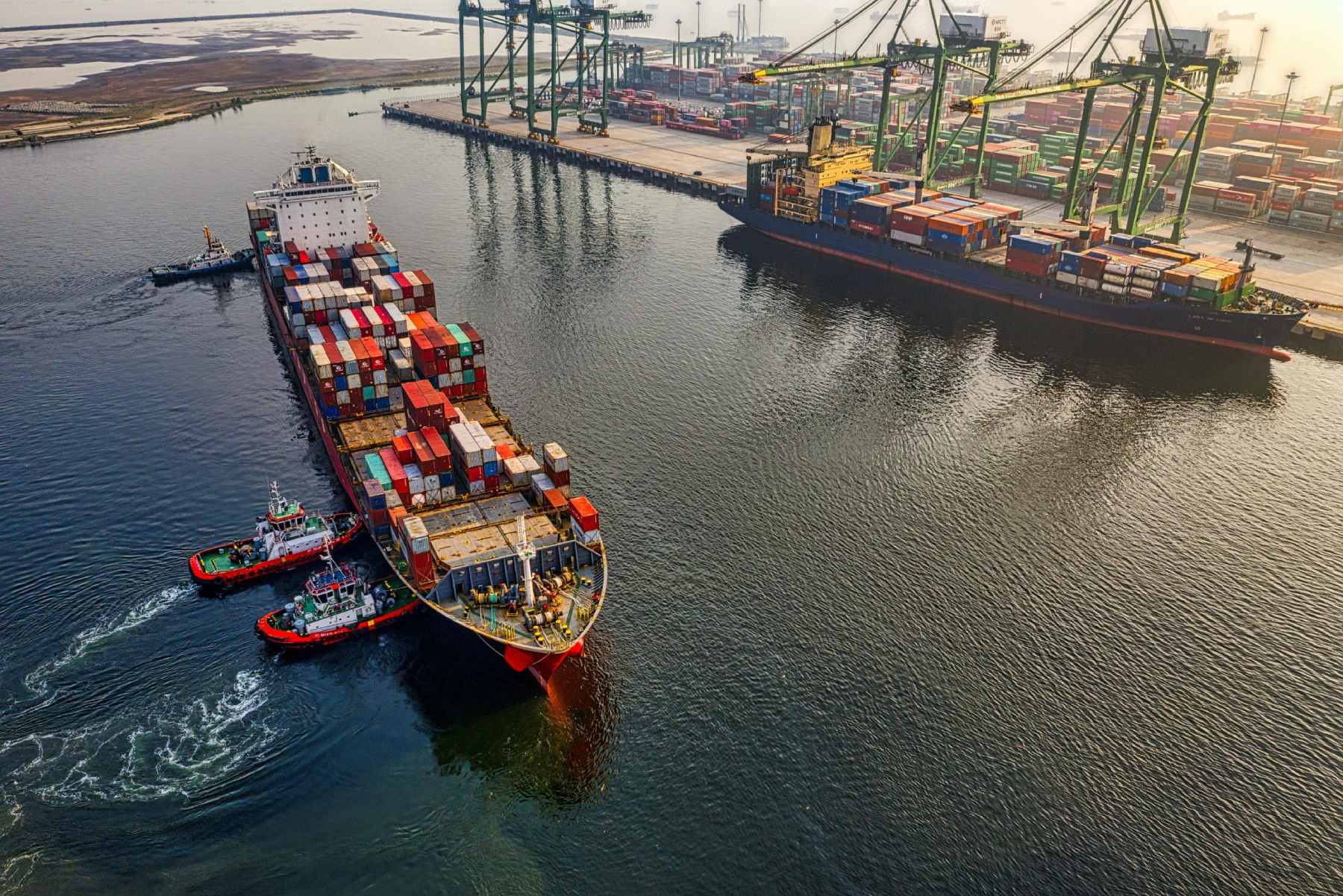 LogIN Business: Driving Italy’s Digital Logistics Revolution