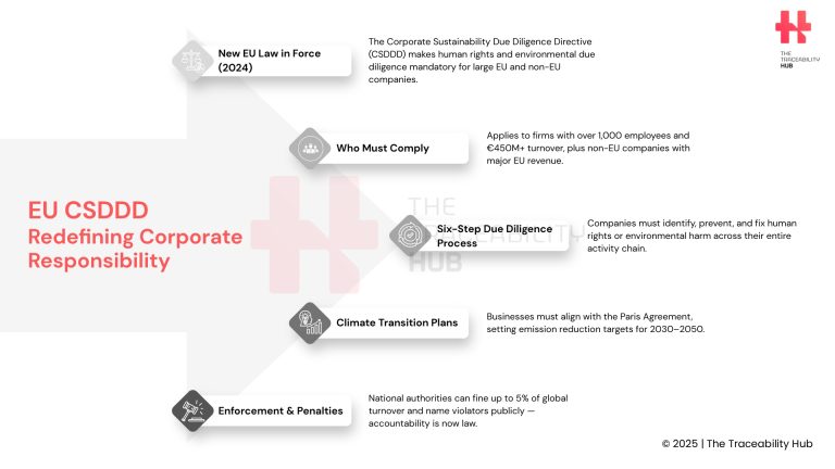 EU CSDDD Redefining Corporate Responsibility