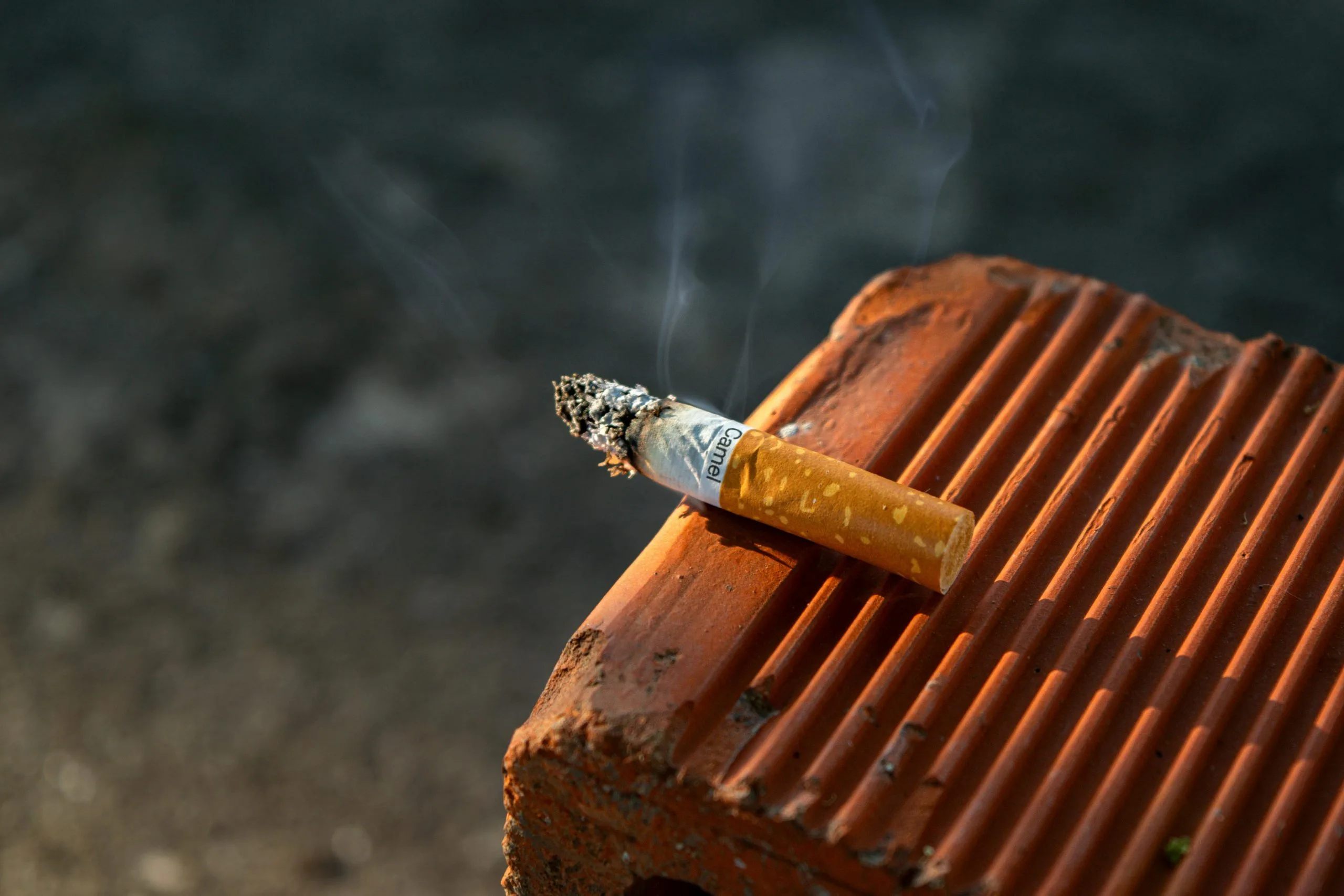 track and trace tobacco eu EU Digital Tracking Blueprint for Cross-Border Tobacco Control