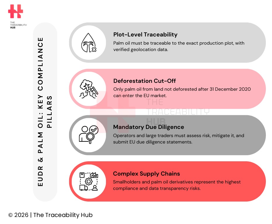 EUDR & Palm Oil Key Compliance Pillars