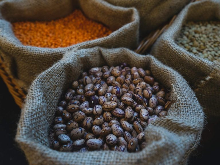 What Is D’Amico’s Digital Product Passport and Why It Matters for Food Transparency
