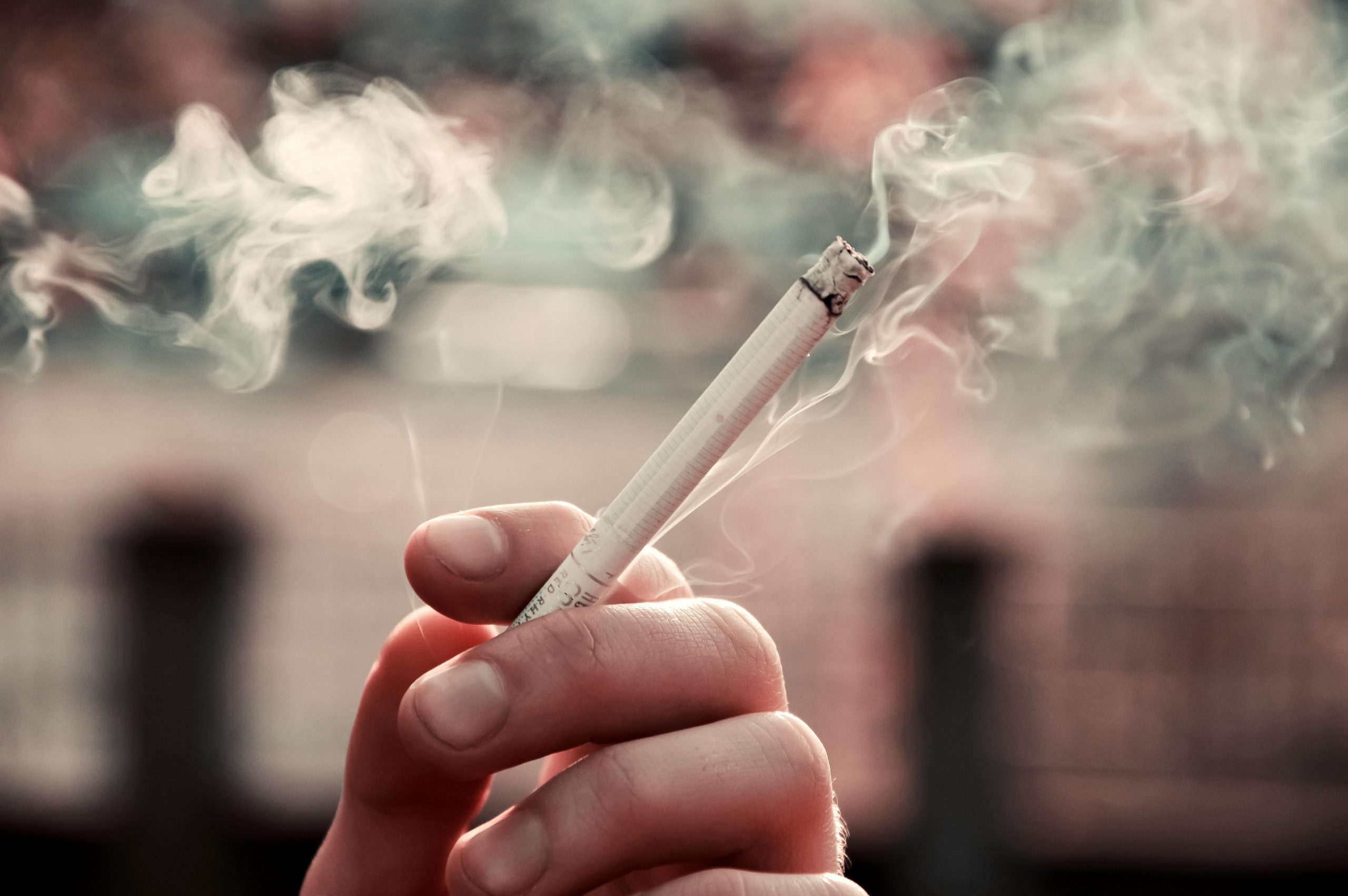 From Cigarettes to Alternatives: What the EU Tobacco Debate Reveals About Consumer Behavior