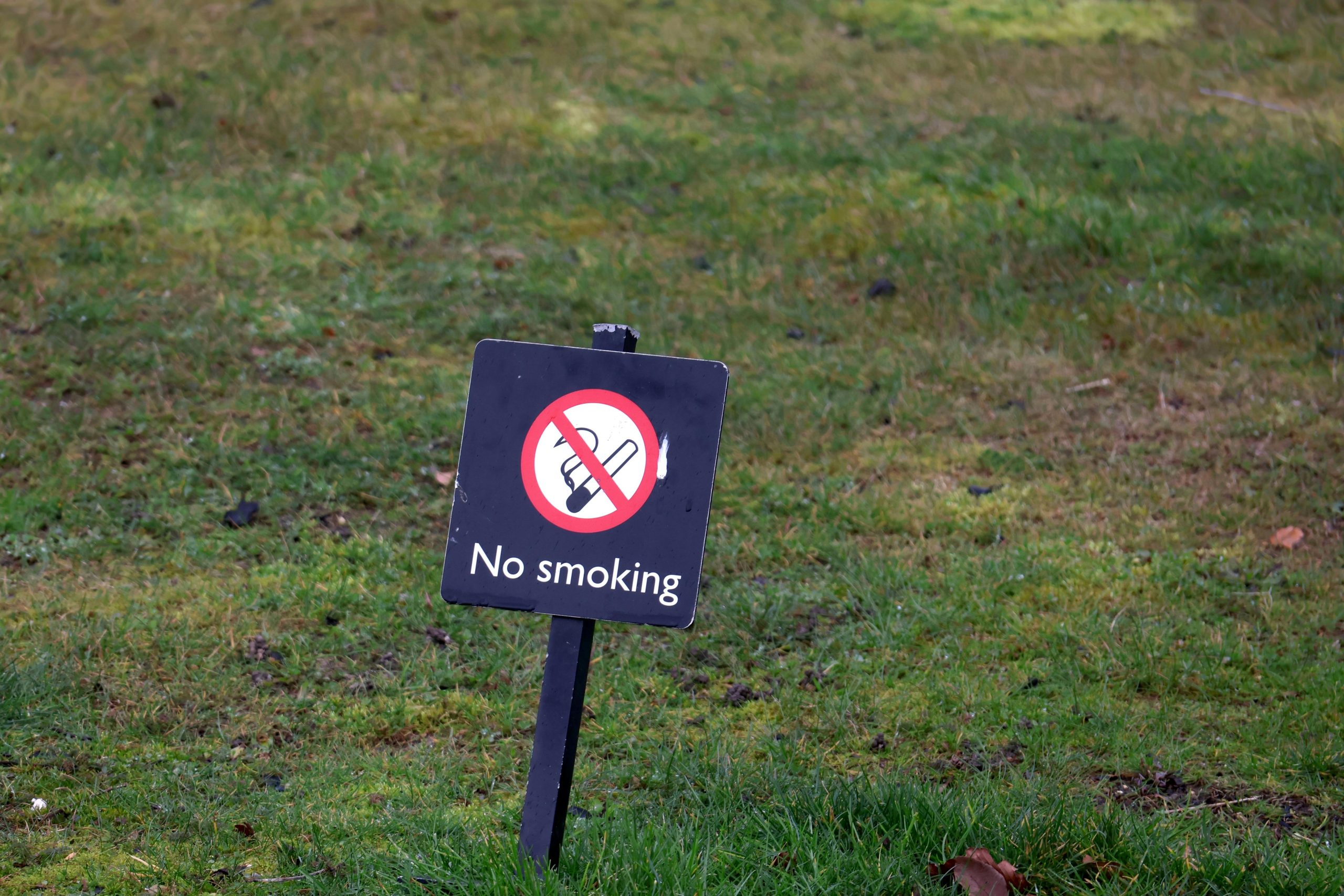 Is the EU Tobacco Framework Losing Its Evidence-Based Foundation? 