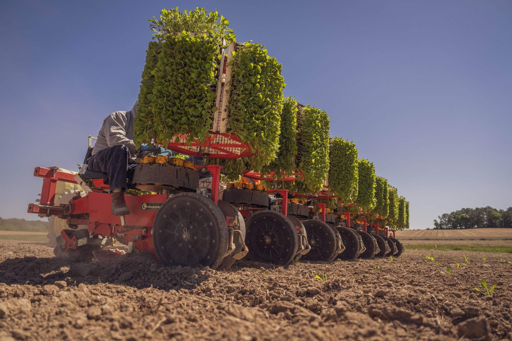 The Hidden Dependencies of Italian Agrifood Supply Chains