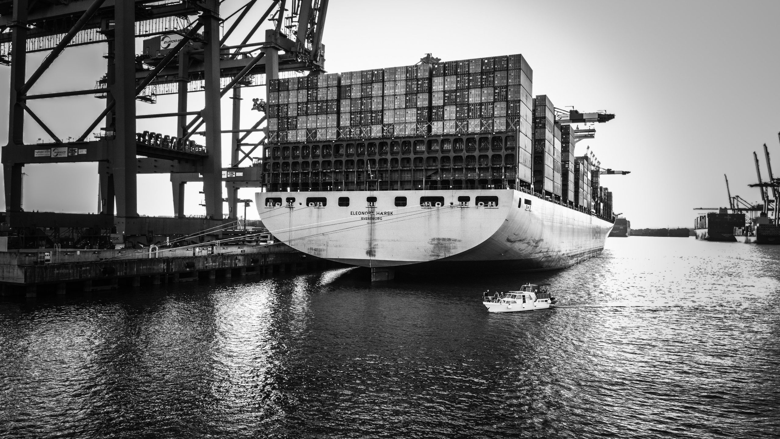 Export Resilience Checklist: Assess Your Supply Chain Resilience & Risk Exposure