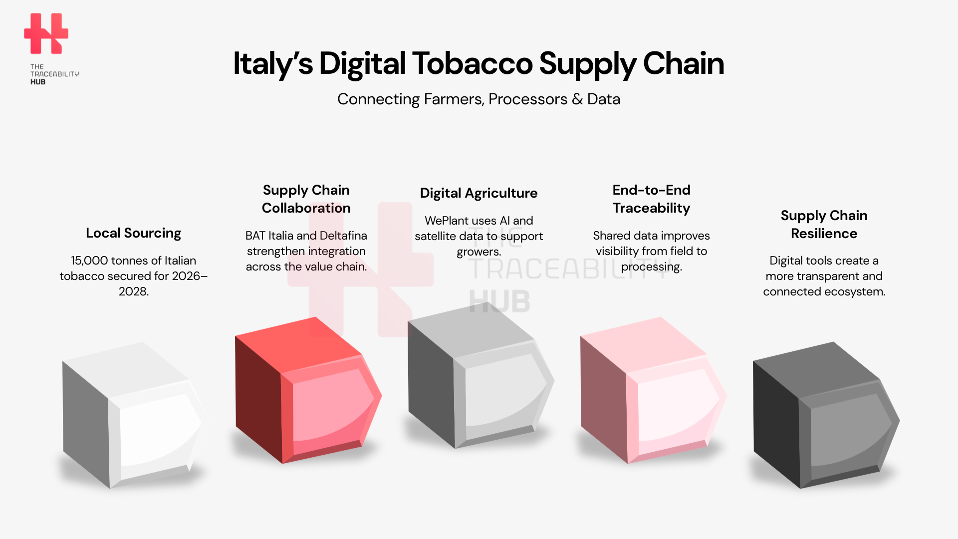 Italy’s Digital Tobacco Supply Chain