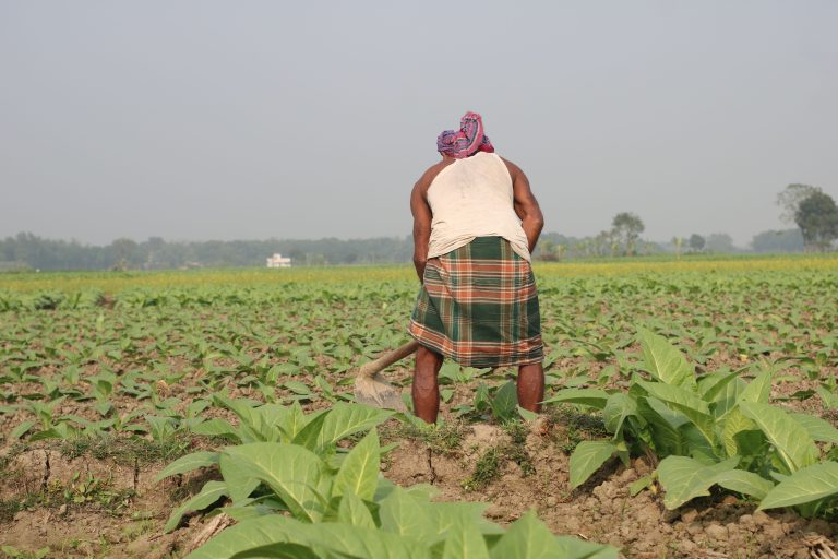 Bangladesh’s Digital Tobacco Traceability Strategy: Building a National Track & Trace Ecosystem Against Illicit Trade
